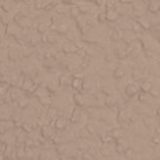 Ceresit Thin Coat Columbia 4