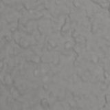 Ceresit Thin Coat Santorini 5